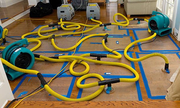 Professional Crawl Space Water Removal technician working in Mount Victory, OH